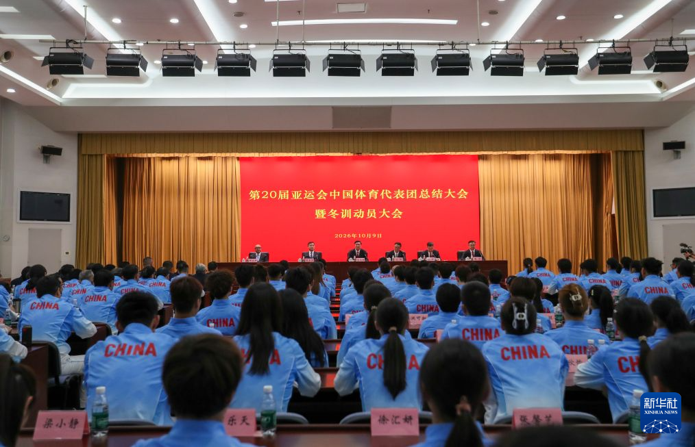 专业xpj国际服务