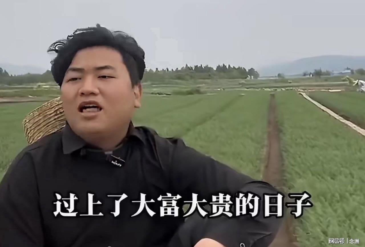 xpj官网登录入口图片展示
