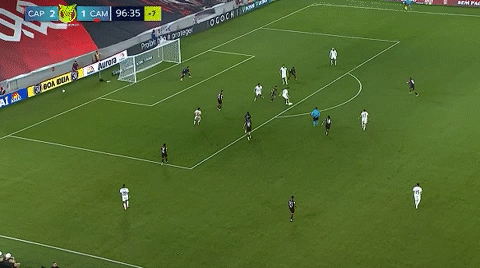 xpj国际案例展示