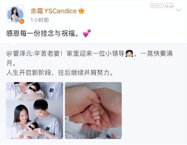 xpj官网登录入口介绍图片