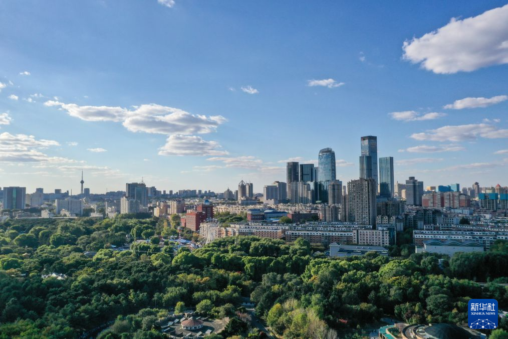 xpj官网登录入口展示图片